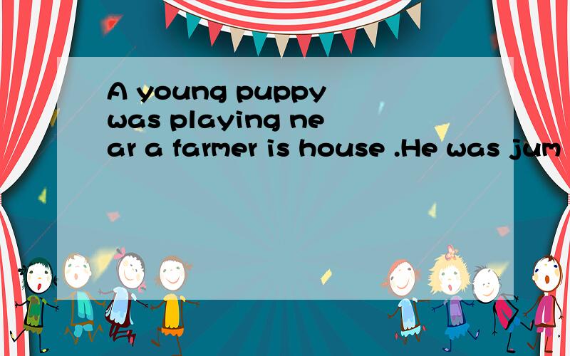 A young puppy was playing near a farmer is house .He was jum