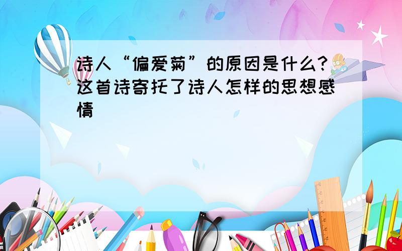 诗人“偏爱菊”的原因是什么?这首诗寄托了诗人怎样的思想感情