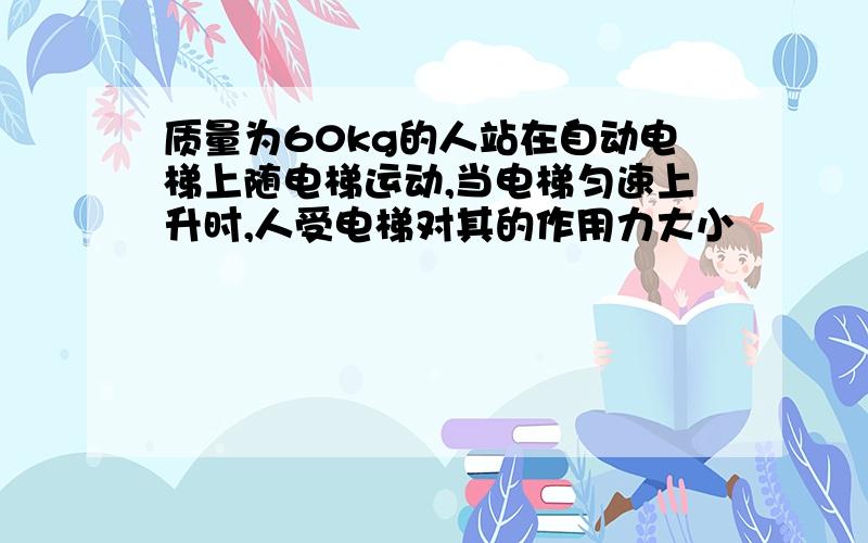 质量为60kg的人站在自动电梯上随电梯运动,当电梯匀速上升时,人受电梯对其的作用力大小