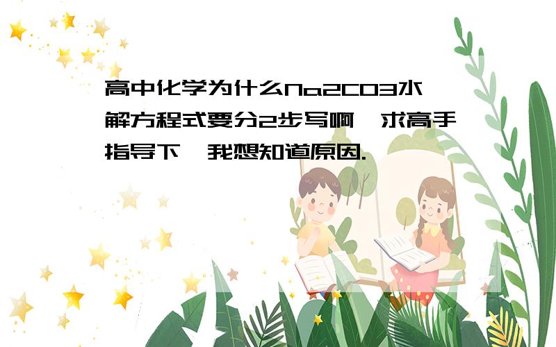 高中化学为什么Na2CO3水解方程式要分2步写啊,求高手指导下,我想知道原因.