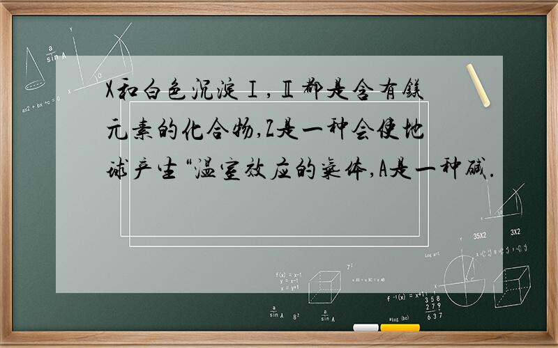 X和白色沉淀Ⅰ,Ⅱ都是含有镁元素的化合物,Z是一种会使地球产生“温室效应的气体,A是一种碱.