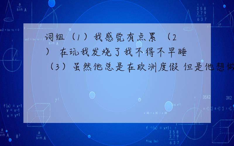 词组（1）我感觉有点累 （2） 在玩我发烧了我不得不早睡（3）虽然他总是在欧洲度假 但是他想做些不同的事(4)我需要完成