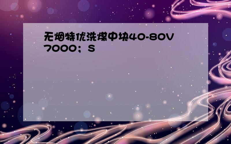 无烟特优洗煤中块40-80V7000；S