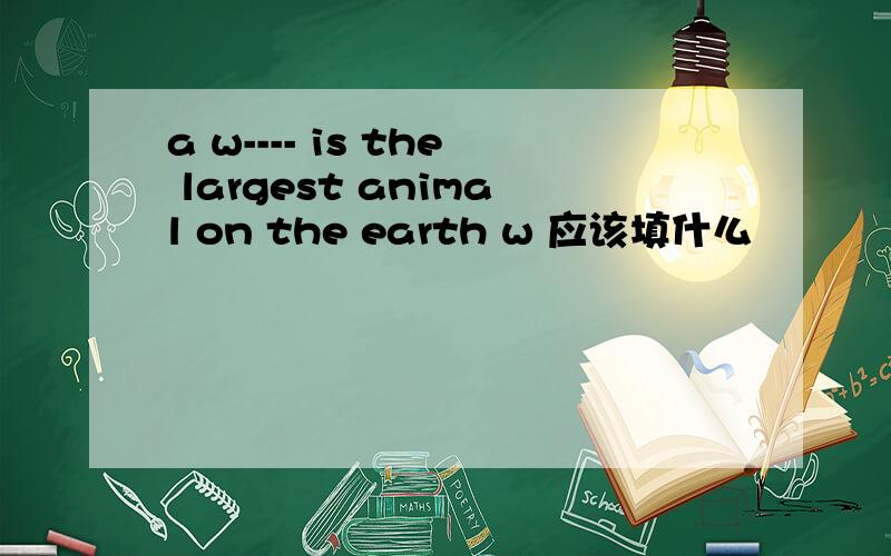 a w---- is the largest animal on the earth w 应该填什么