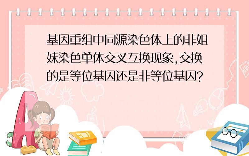 基因重组中同源染色体上的非姐妹染色单体交叉互换现象,交换的是等位基因还是非等位基因?