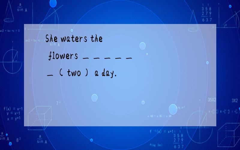 She waters the flowers ______(two) a day.