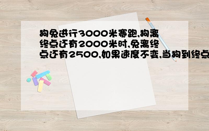 狗兔进行3000米赛跑,狗离终点还有2000米时,兔离终点还有2500,如果速度不变,当狗到终点时