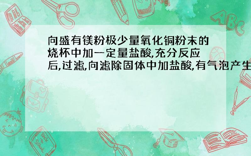 向盛有镁粉极少量氧化铜粉末的烧杯中加一定量盐酸,充分反应后,过滤,向滤除固体中加盐酸,有气泡产生,则滤出的固体的成分是什