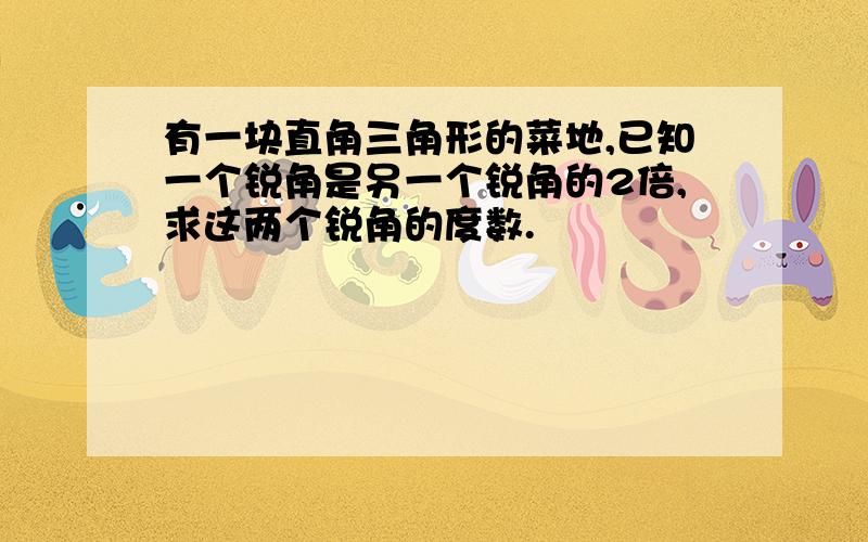 有一块直角三角形的菜地,已知一个锐角是另一个锐角的2倍,求这两个锐角的度数.