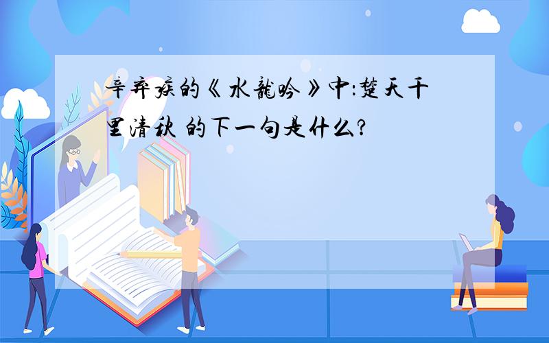 辛弃疾的《水龙吟》中：楚天千里清秋 的下一句是什么?