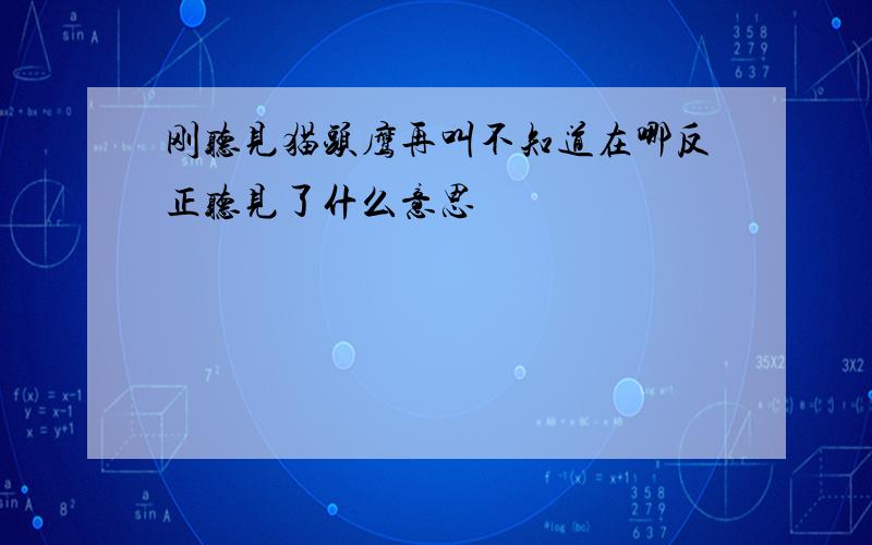 刚听见猫头鹰再叫不知道在哪反正听见了什么意思