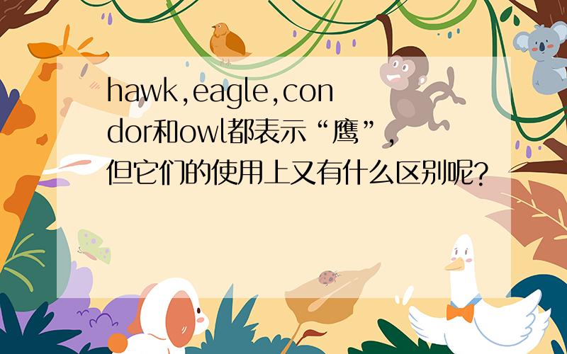 hawk,eagle,condor和owl都表示“鹰”,但它们的使用上又有什么区别呢?