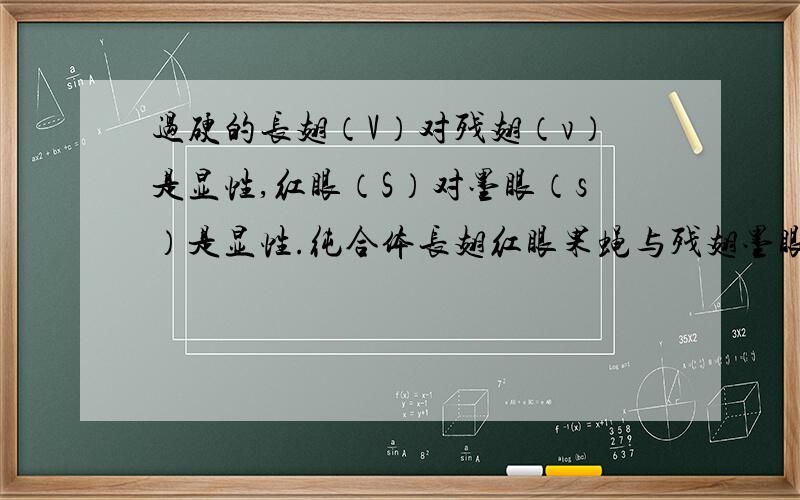 过硬的长翅（V）对残翅（v）是显性,红眼（S）对墨眼（s）是显性.纯合体长翅红眼果蝇与残翅墨眼果蝇杂交