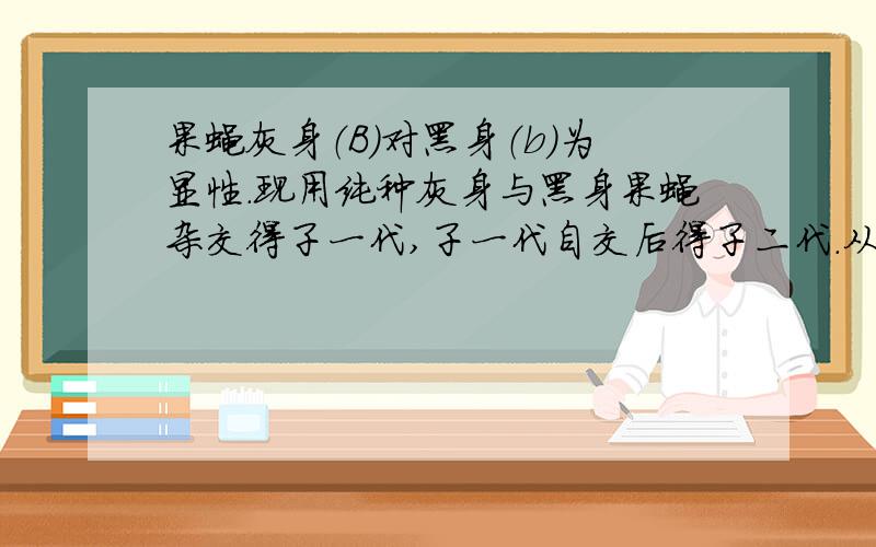 果蝇灰身（B）对黑身（b）为显性.现用纯种灰身与黑身果蝇杂交得子一代,子一代自交后得子二代.从子二代选出灰身雌雄个体,自