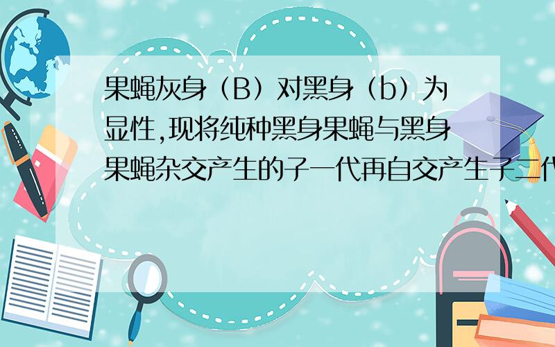 果蝇灰身（B）对黑身（b）为显性,现将纯种黑身果蝇与黑身果蝇杂交产生的子一代再自交产生子二代,将子二代中所以黑身果蝇除去