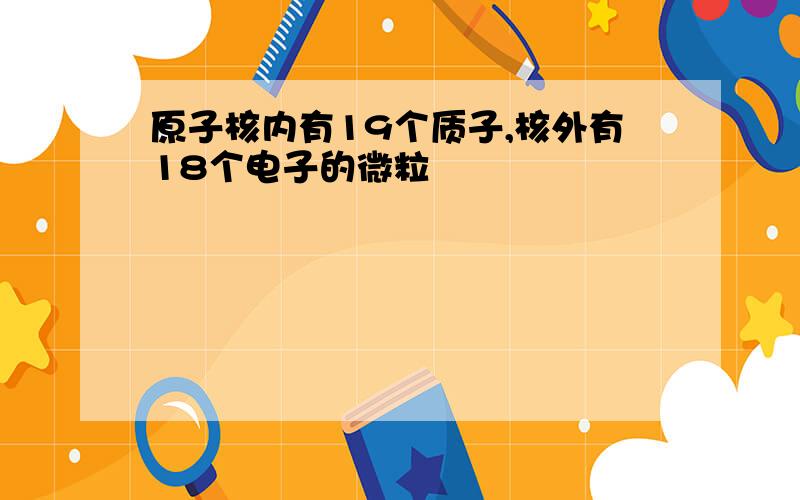 原子核内有19个质子,核外有18个电子的微粒