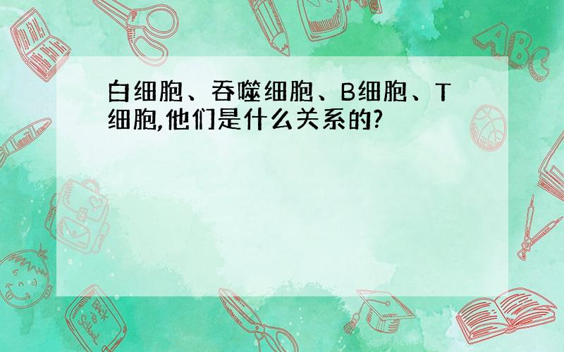 白细胞、吞噬细胞、B细胞、T细胞,他们是什么关系的?