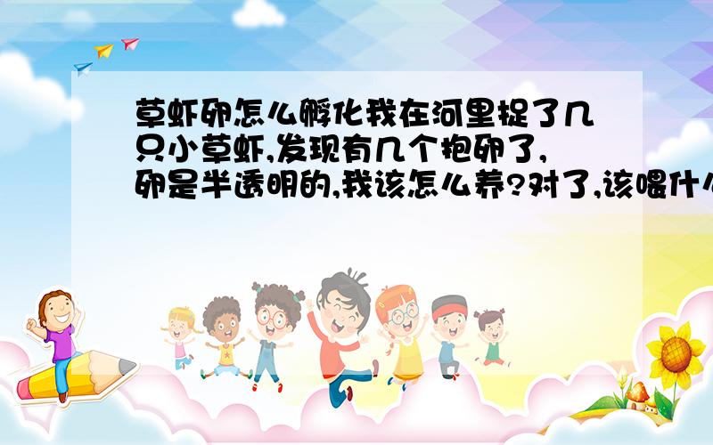 草虾卵怎么孵化我在河里捉了几只小草虾,发现有几个抱卵了,卵是半透明的,我该怎么养?对了,该喂什么?