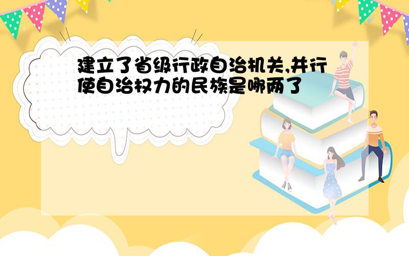 建立了省级行政自治机关,并行使自治权力的民族是哪两了