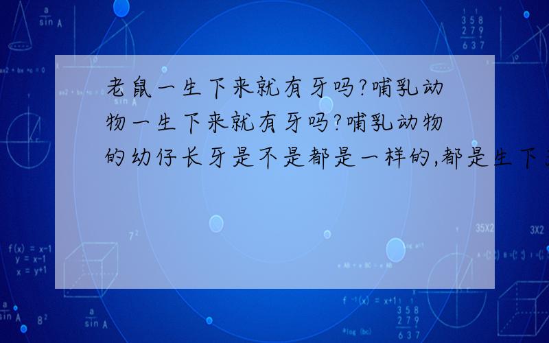 老鼠一生下来就有牙吗?哺乳动物一生下来就有牙吗?哺乳动物的幼仔长牙是不是都是一样的,都是生下为就无牙或一下来就有牙.