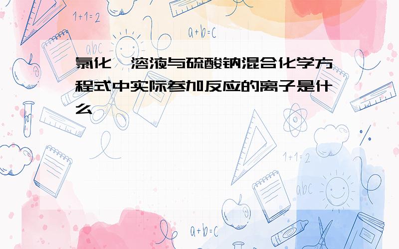 氯化钡溶液与硫酸钠混合化学方程式中实际参加反应的离子是什么