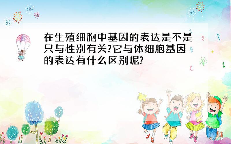 在生殖细胞中基因的表达是不是只与性别有关?它与体细胞基因的表达有什么区别呢?