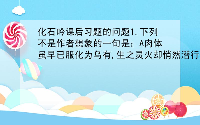 化石吟课后习题的问题1.下列不是作者想象的一句是：A肉体虽早已服化为乌有,生之灵火却悄然潜行在地下B生命的航船从太古不息