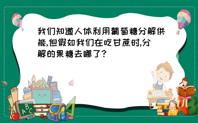 我们知道人体利用葡萄糖分解供能,但假如我们在吃甘蔗时,分解的果糖去哪了?