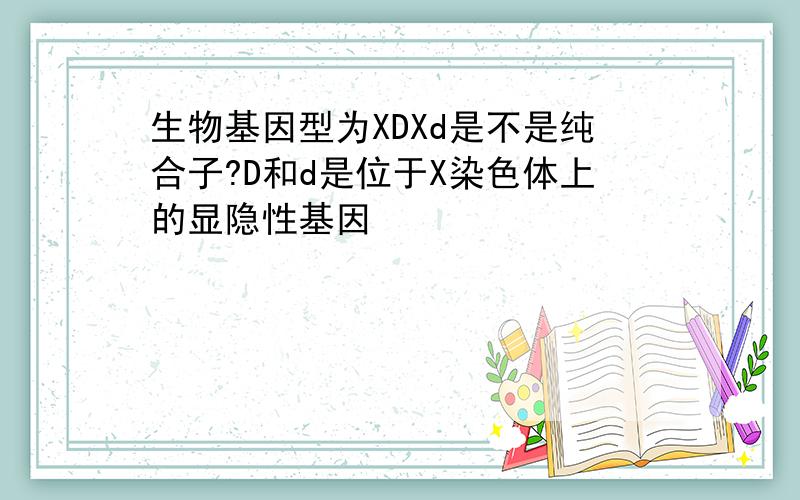 生物基因型为XDXd是不是纯合子?D和d是位于X染色体上的显隐性基因