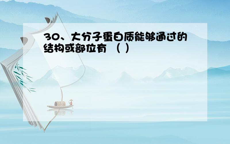 30、大分子蛋白质能够通过的结构或部位有 （ ）