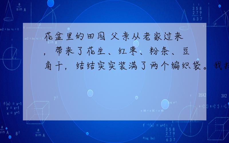 花盆里的田园 父亲从老家过来，带来了花生、红枣、粉条、豆角干，结结实实装满了两个编织袋。我招呼父亲坐沙发上休息，他稍坐了