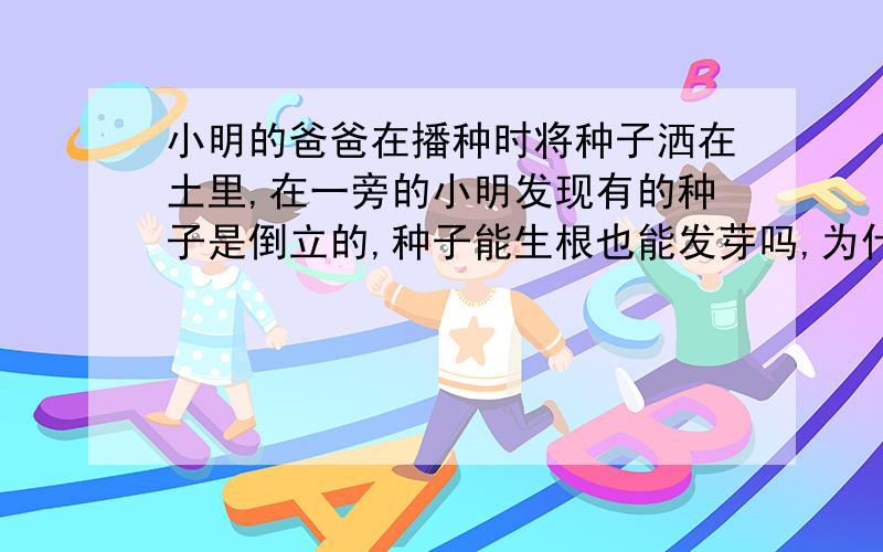 小明的爸爸在播种时将种子洒在土里,在一旁的小明发现有的种子是倒立的,种子能生根也能发芽吗,为什么?