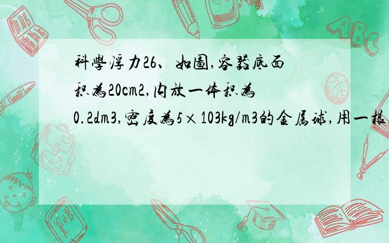 科学浮力26、如图,容器底面积为20cm2,内放一体积为0.2dm3,密度为5×103kg/m3的金属球,用一根绳子与木