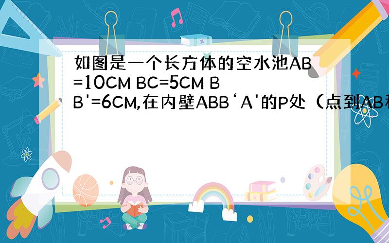 如图是一个长方体的空水池AB=10CM BC=5CM BB'=6CM,在内壁ABB‘A'的P处（点到AB和BB'的距离都