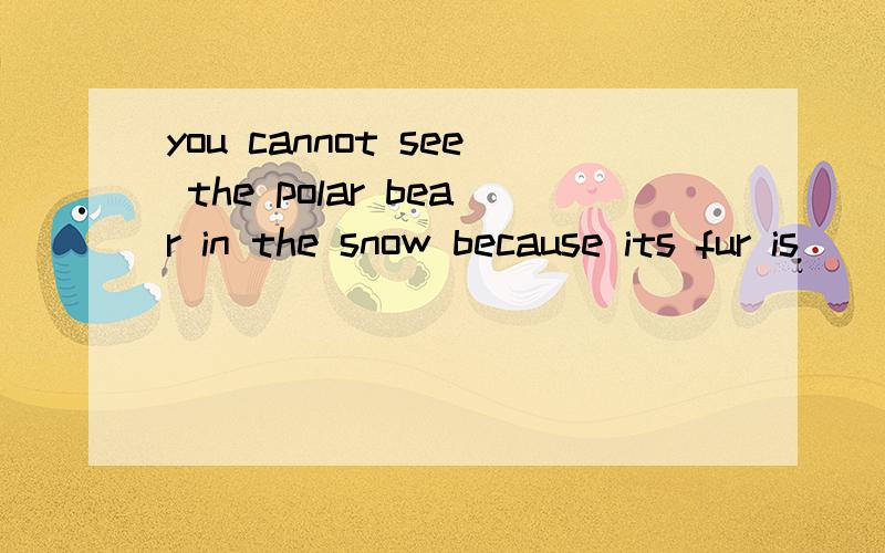 you cannot see the polar bear in the snow because its fur is