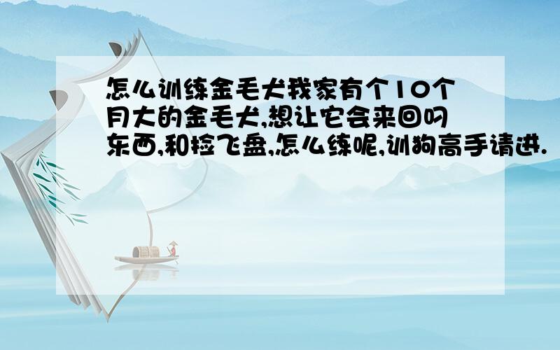 怎么训练金毛犬我家有个10个月大的金毛犬,想让它会来回叼东西,和捡飞盘,怎么练呢,训狗高手请进.