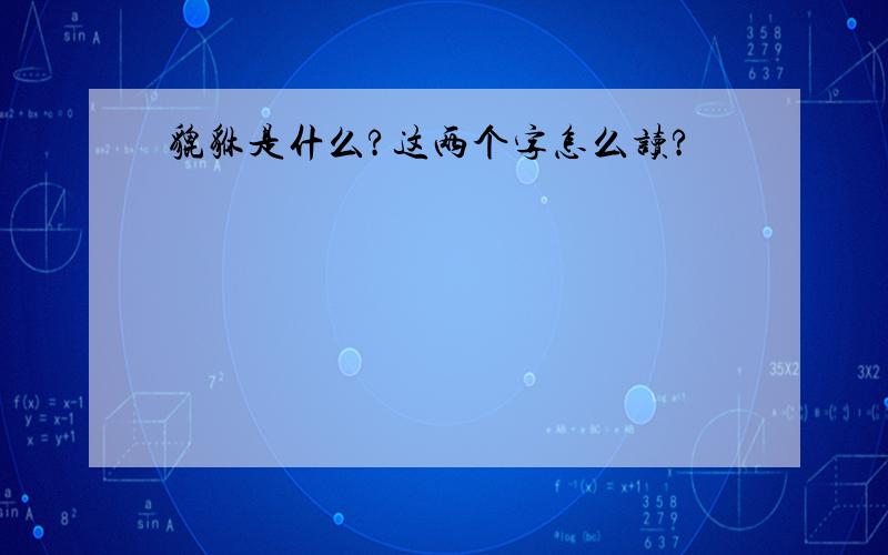 貔貅是什么?这两个字怎么读?