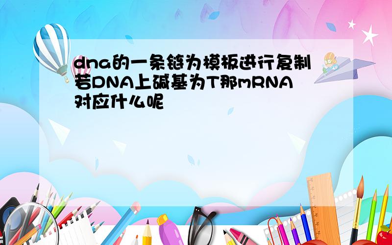 dna的一条链为模板进行复制若DNA上碱基为T那mRNA对应什么呢