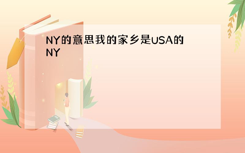 NY的意思我的家乡是USA的NY