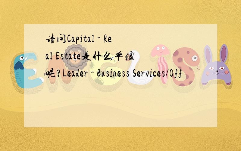 请问Capital - Real Estate是什么单位呢?Leader - Business Services/Off