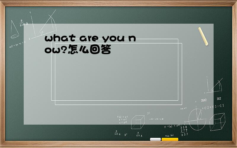 what are you now?怎么回答