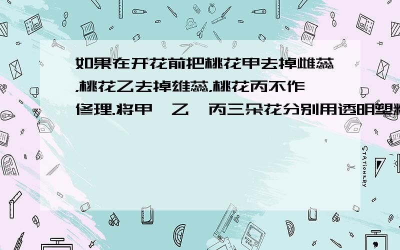 如果在开花前把桃花甲去掉雌蕊，桃花乙去掉雄蕊，桃花丙不作修理.将甲、乙、丙三朵花分别用透明塑料袋罩上，扎紧袋口，结果是（