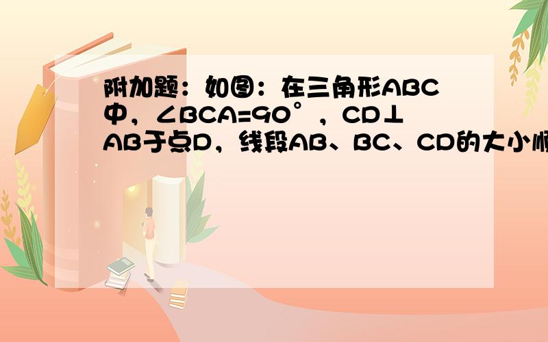 附加题：如图：在三角形ABC中，∠BCA=90°，CD⊥AB于点D，线段AB、BC、CD的大小顺序如何，并说明理由．