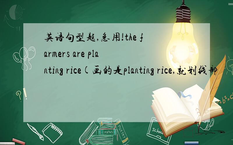 英语句型题,急用!the farmers are planting rice(画的是planting rice,就划线部