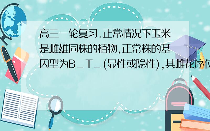 高三一轮复习.正常情况下玉米是雌雄同株的植物,正常株的基因型为B_T_(显性或隐性),其雌花序位于植株的中部,由先习惯基