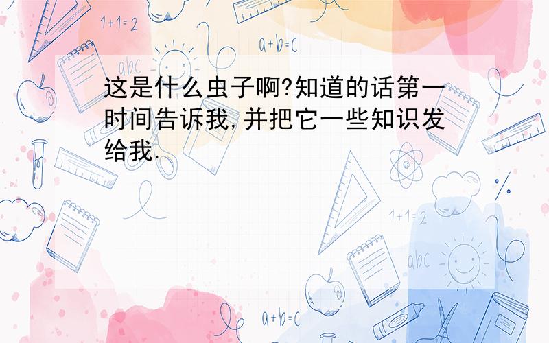 这是什么虫子啊?知道的话第一时间告诉我,并把它一些知识发给我.