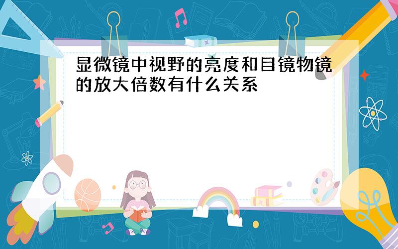 显微镜中视野的亮度和目镜物镜的放大倍数有什么关系