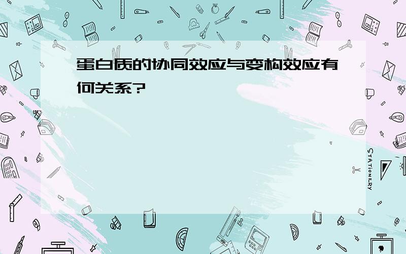 蛋白质的协同效应与变构效应有何关系?