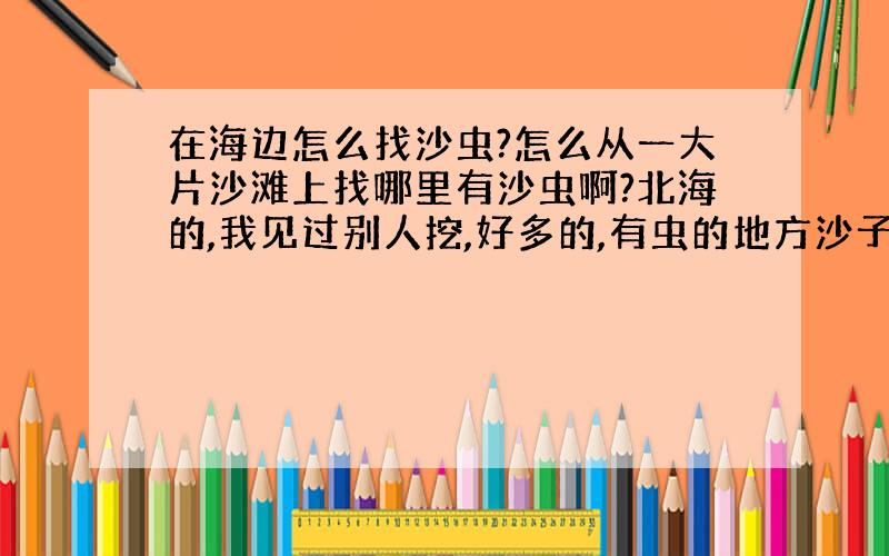 在海边怎么找沙虫?怎么从一大片沙滩上找哪里有沙虫啊?北海的,我见过别人挖,好多的,有虫的地方沙子的表面是什么样子的啊?