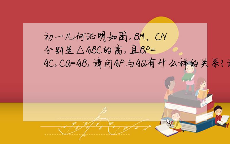 初一几何证明如图,BM、CN分别是△ABC的高,且BP=AC,CQ=AB,请问AP与AQ有什么样的关系?请说明理由.